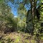 Продажа участка - городской поселок Рощино, Красноармейская улица