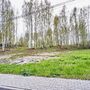 Продажа участка - Колтуши, Воейковское шоссе