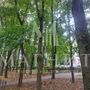 Продажа трехкомнатной квартиры - Фаворского улица, д.18 