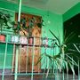 Продажа трехкомнатной квартиры - Крыленко улица, д.33, корп.1 