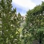 Продажа трехкомнатной квартиры - Художников проспект, д.30, корп.2 