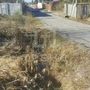 Продажа участка - Ленинградская область, Танкистов улица