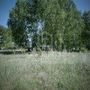 Продажа участка - деревня Хязельки, Хязельки д