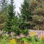 Продажа участка - Ленинградская область, Славы улица