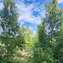 Продажа однокомнатной квартиры - Северный проспект, д.22 