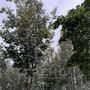 Продажа двухкомнатной квартиры - Всеволожск, Всеволожский проспект, д.60 