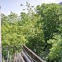 Продажа однокомнатной квартиры - Белградская улица, д.16, корп.2