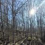 Продажа участка - Ивангород, Госпитальная улица