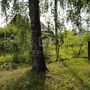 Продажа участка - деревня Хязельки, Хязельки д