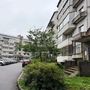 Продажа двухкомнатной квартиры - село Павлово, Быкова улица, д.17 