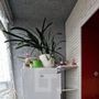 Продажа двухкомнатной квартиры - городской поселок Новоселье, Новоселье гп, д.7 