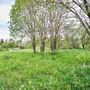 Продажа участка - поселок Петро-Славянка, Лесной проспект