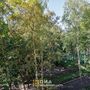 Продажа двухкомнатной квартиры - Наличная улица, д.36, корп.6 