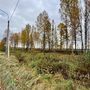 Продажа участка - Всеволожский район, Массив Скотное территория
