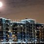 Продажа однокомнатной квартиры - Вилькицкий бульвар, д.7 
