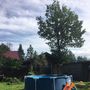 Продажа дома - Бернгардовка территория снт, 3-я линия улица, д.3, я