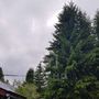 Продажа участка - поселок Симагино, Авантаж садовое товарищество