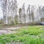 Продажа участка - Колтуши, Воейковское шоссе