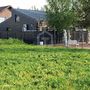 Продажа участка - деревня Скотное, Ламбери улица