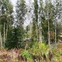 Продажа участка - Ленинградская область, Славы улица