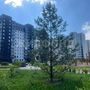 Продажа однокомнатной квартиры - городской поселок Новоселье, Большая Балтийская улица, д.10, корп.1 
