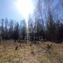 Продажа участка - Ленинградская область, Новопетровская улица