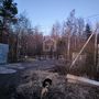Продажа участка - деревня Сойкино, Сойкино д