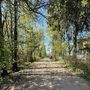 Продажа участка - городской поселок Рощино, Красноармейская улица