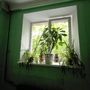 Продажа двухкомнатной квартиры - Ленсовета улица, д.15 