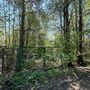 Продажа участка - городской поселок Рощино, Красноармейская улица