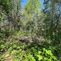 Продажа участка - городской поселок Рощино, Красноармейская улица