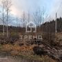 Продажа участка - Ленинградская область, Бригантина-2(Кобрино) территория снт