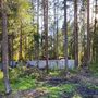 Продажа участка - городской поселок Рощино, Лесная улица