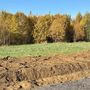 Продажа участка - Всеволожский район, Массив Скотное территория