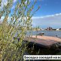 Продажа участка - Ленинградская область, Ромашковая улица