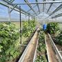Продажа дома - деревня Местаново, Местаново д