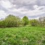 Продажа участка - поселок Петро-Славянка, Лесной проспект
