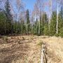 Продажа участка - Ленинградская область, Новопетровская улица
