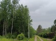 Продажа участка - СТ Пролетарский труд ул.