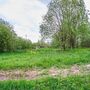 Продажа участка - поселок Петро-Славянка, Лесной проспект