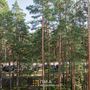 Продажа двухкомнатной квартиры - Сестрорецк, Максима Горького улица, д.2, а литера А 