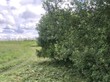 Продажа участка - Россия, Ленинградская область, Гатчинский район, Новая (Елизаветинское с/п) д.