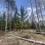 Продажа участка - Ленинградская область, Михайловское(Михайловка) территория снт