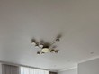 Продажа трехкомнатной квартиры - Россия, Санкт-Петербург, Дыбенко ул., 8, к 2 