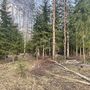 Продажа участка - Ленинградская область, Михайловское(Михайловка) территория снт