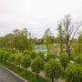 Продажа однокомнатной квартиры - Кронштадт, Тулонская аллея, д.10, стр1 
