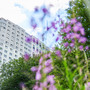 Продажа двухкомнатной квартиры в новостройке - Чарушинская улица, д.1 
