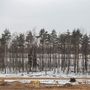 Продажа однокомнатной квартиры - Планерная улица, д.87, корп.1 стр 1 