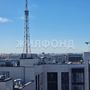 Продажа четырехкомнатной квартиры - Белоостровская улица, д.10, корп.2 стр 1 