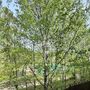 Продажа двухкомнатной квартиры - Крыленко улица, д.25, корп.4 